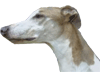Tristan de Bleu Manoir