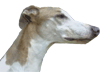 Tristan de Bleu Manoir